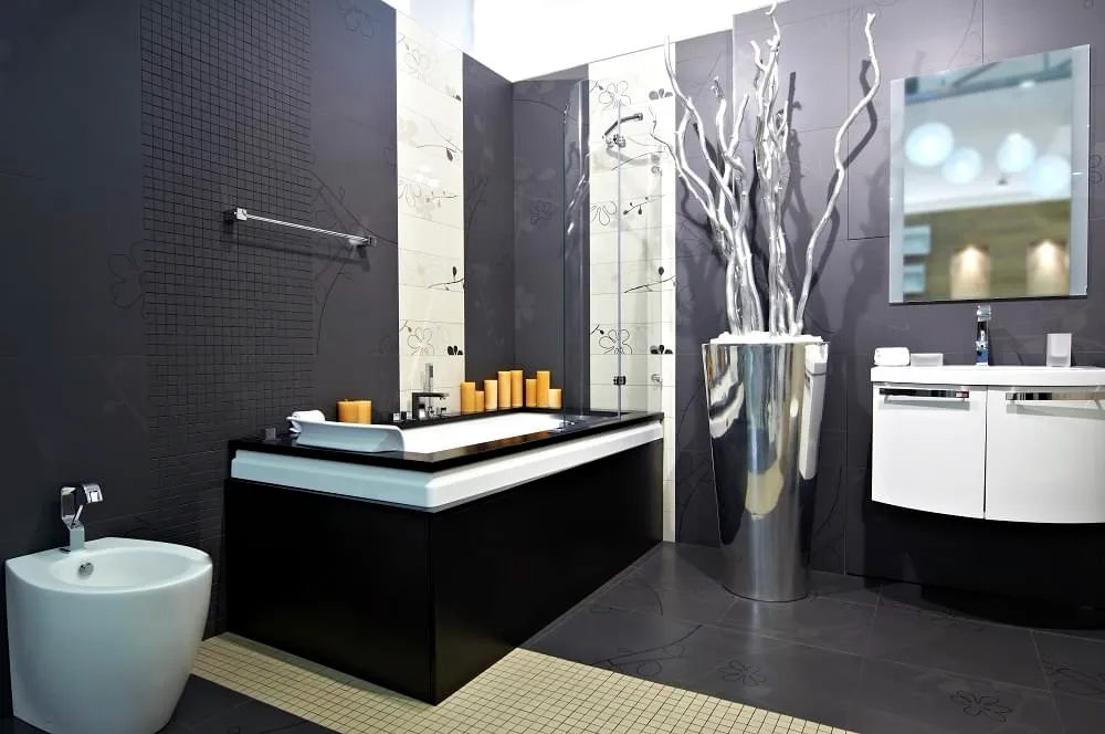 ramoneur le minihic sur rance